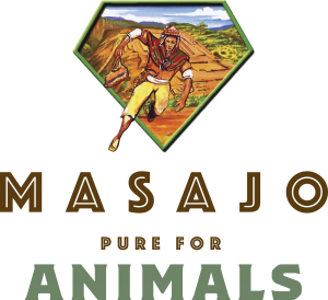 Masajo logo